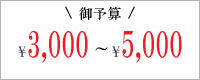 3000円以上5000円未満