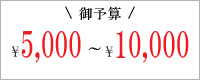 5000円以上10000円未満